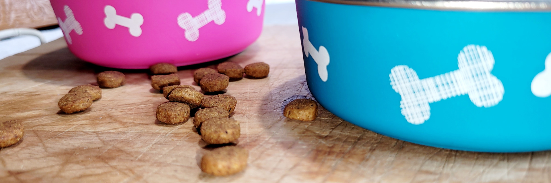 Ernährungsberatung Hunde online